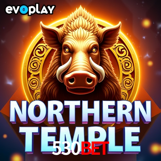 Login Interface